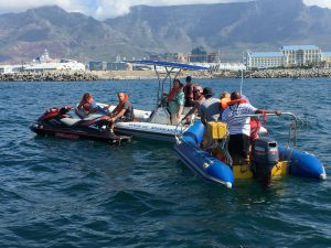 boat hire waterfront harbour
