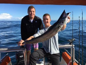catch fish in cape town