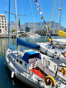 Boat Charter Cape Town